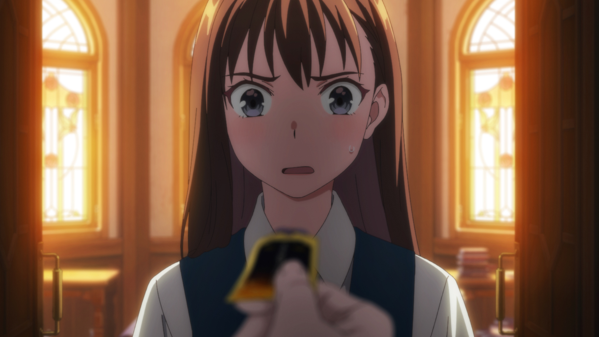 この本を盗む者は
